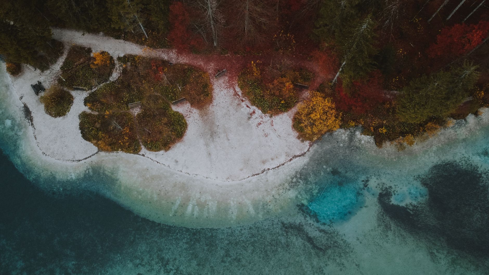 Skogkledd strandlinje og blågrønt vann sett fra luften